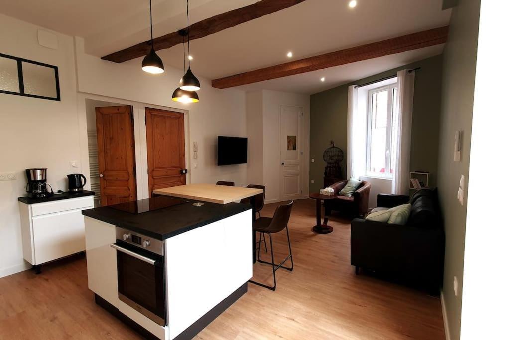Classe 4 Etoiles - Cybele - Centre Ville 2 Chambres, Cour Privative Et Garage Vienne  Exterior foto
