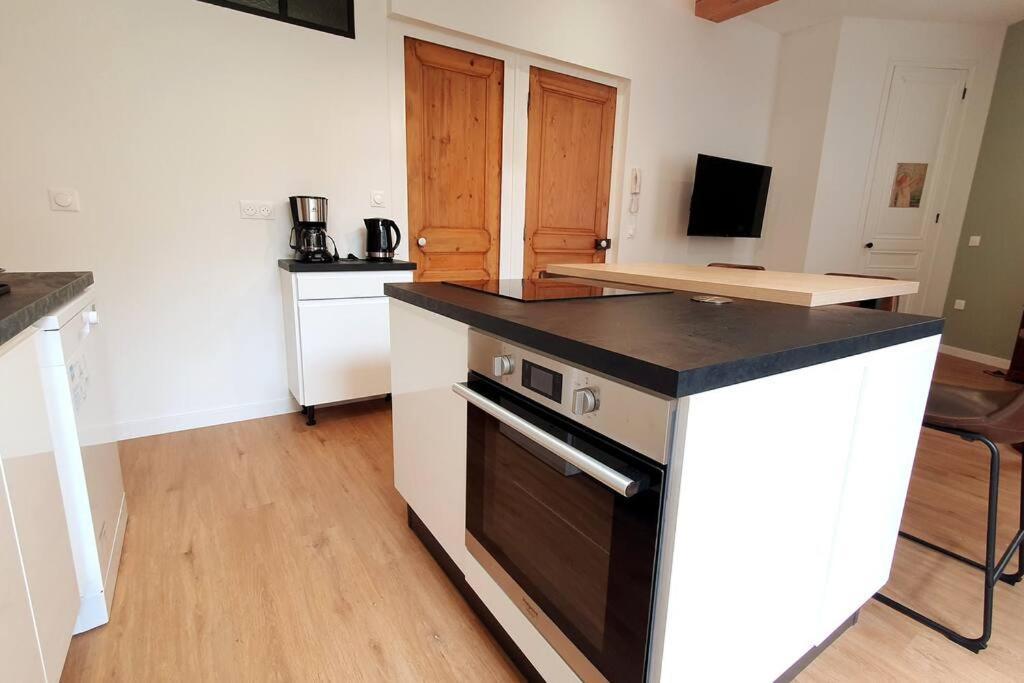 Classe 4 Etoiles - Cybele - Centre Ville 2 Chambres, Cour Privative Et Garage Vienne  Exterior foto